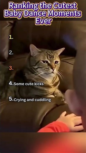 Top 13 Funniest Cats vs Bath Time Fails