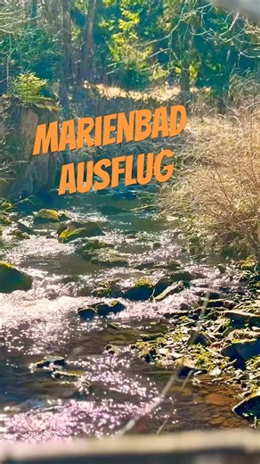 🌲Naturtrip nördliche Wälder Marienbad Quellen Nebel Ruhe leise mag #Marienbad #CZ #Natur #Ayatoax
