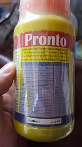 Can I use this product "Pendimethalin" on my...