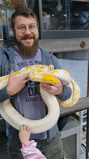 Me holding a MASSIVE Reticulated Python