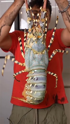 Zeke on Instagram: "Eww...ain't no way he ate the poop sack🤢"