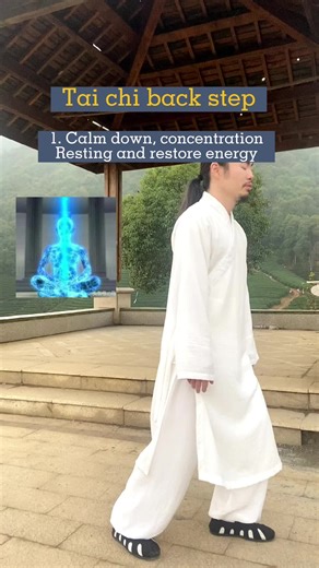 The Art of Tai Chi: Cultivating Mind and Body