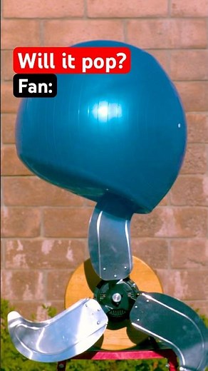 What pops a yoga ball? 🤔