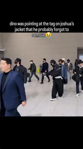 홍지수 joshua 🦌 on Instagram: "help 😭 follow @seventeen13updates for svt daily updates and content 🌞 🗿credits to the rightful owners ! & i do not claim as mine & dm if you want to remove your content 🗿 #svt #sebong #seventeen #saythename17 #scoups #jeonghan #joshua #jun #hoshi #wonwoo #woozi #the8 #mingyu #dk #seungkwan #vernon #dino #seventeenupdates #joshuahong #seventeenjeonghan #explore #booseoksoon #seventeenmingyu #세븐틴 #seventeenscoups #kpop #jeongcheol #jihan #goingseventeen #meanie"