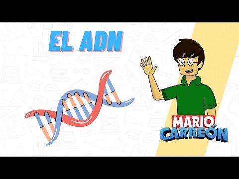 DNA 🧬