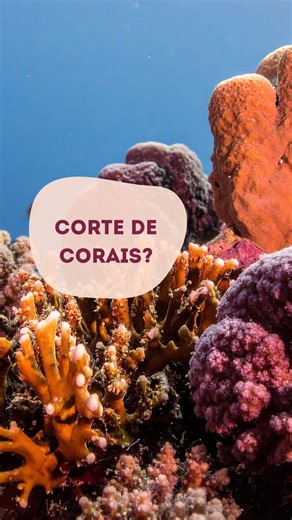 Verdes Marias | Espalhe essa boa notícia para a semana começar bem! @coralgardeners #coral #recifedecoral #microrrevoluções #sustentabilidade #boanoticia | Instagram