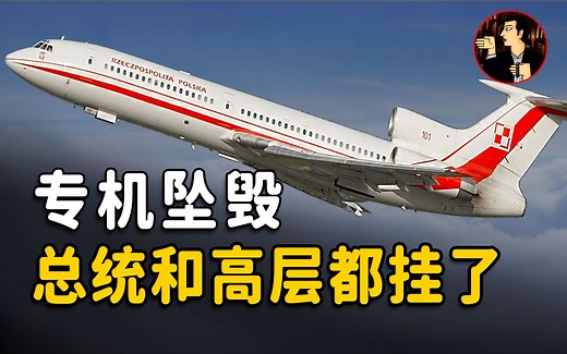 96位国家高层全部遇难，波兰总统专机坠毁于俄罗斯境内，是意外还是阴谋？| 奇闻观察室_哔哩哔哩_bilibili