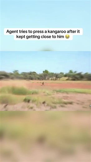 It did not budge when he ran 😂 #fyp #foryoupage #agent00 #viral #kangaroo
