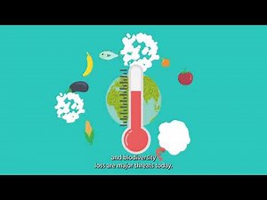 Agroecology: joining the dots between climate change, land degradation and biodiversity loss