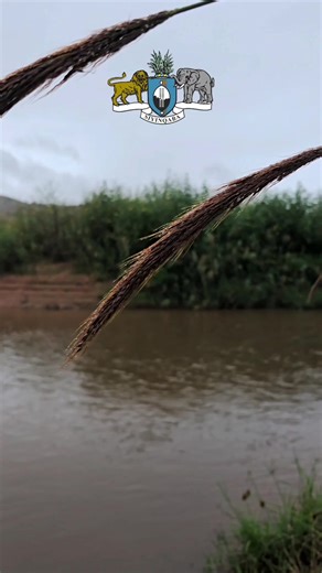 The Microprojects Co-ordination office was estimated in 1988 by the Eswatini Government as a semi-independent unit of the Ministry of Economic Planning & Development. It is mainly responsible for: recommending the beat projects from amongst many applications; supervision and monitoring of new projects; evaluation of completed projects; advising grassroots communities concerning their priorities and project ideas. Microprojects also co-operates closely with other donor agencies, NGOs and various