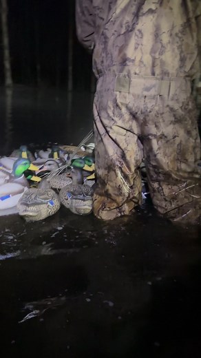 15K views · 284 reactions | Dive Bomb Industries on Reels | Facebook