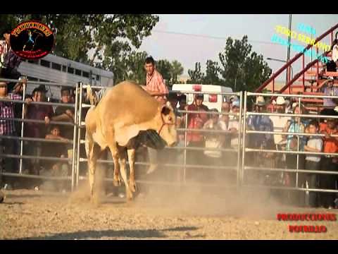 Toro serrano//joan sebastian