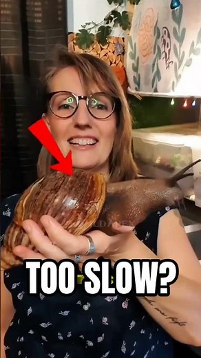 Slowest Animals in the World… Number One Will Shock You #slowanimal