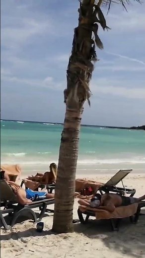 Playa hotel Barcelo maya palace#beach #travel