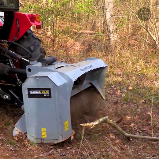 The FAST Way to Clear Trees #Mulcher #ForestryMulcher #LandClearing #ClearingTrees | Tony's Tractor Adventure Homestead