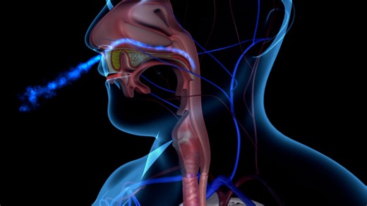 Why Are Some People Immune To Covid? Study May Have Answers