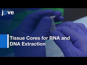 Preparation of Tissue Cores for RNA and DNA Extraction