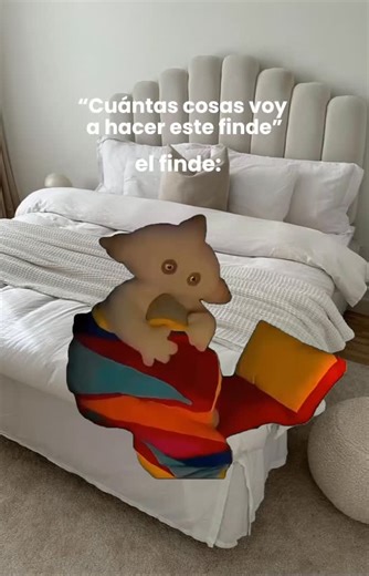 Druni on Instagram: "POV: yo este finde 😌"