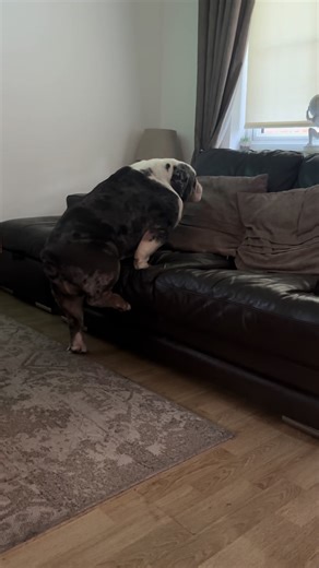 The Perfect Nap Time for a Fresh Start