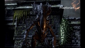 Types of Xenomorphs!