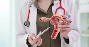 Female Gynecologist Demonstrates Model Female Reproductive Stock Footage Video (100% Royalty-free) 3491791345 | Shutterstock
