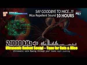🔊 Ultrasonic Rodent Sound – High Frequency Tone for Rats & Mice