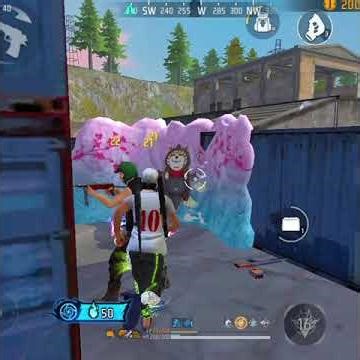 I DON'T NEED GUN SKINS 🗿