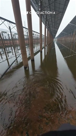 Goofy Fish #LureFishing #BassFishing #FunnyAnimals