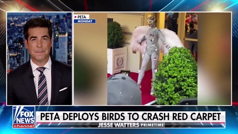 Met Gala: Jesse Watters, Julie Banderas react to wild celebrity outfits