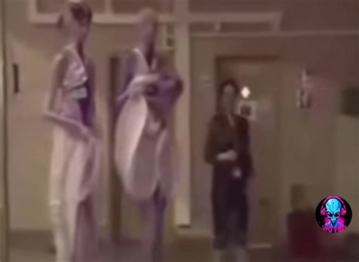 168K views · 2.8K reactions | The tall whites working together with our governments for decades #UAP #mystery #strange #aliens #extraterrestrial #tallwhites | OfficiallyStrange | Facebook