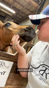 549K views · 19K reactions | First Time Breeding Tips! | Katie Van Slyke | Facebook