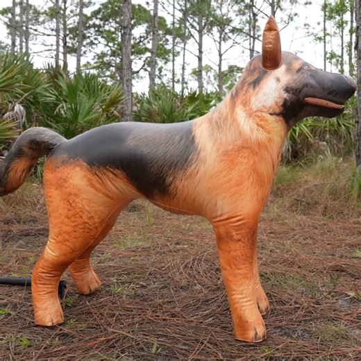 40-Inch Realistic Inflatable German Shepherd from Jet Creations