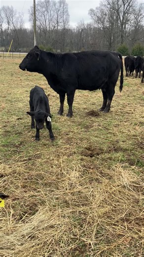 Ken (@ken.wright00)’s videos with original sound - Ken