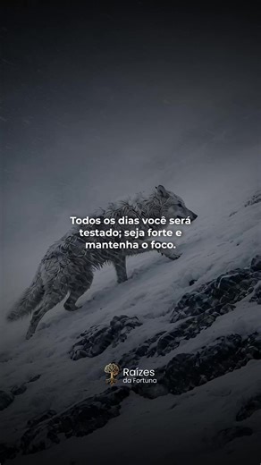 Todos os dias você será testado. Seja forte e mantenha o foco. Os desafios não pedem licença, mas revelam preparo. Disciplina diária, mente firme e propósito claro sustentam quem segue em frente. Não é sobre vencer hoje. É sobre não sair do caminho. 🔥 Constância transforma pressão em progresso. 👉 Se essa mensagem te fortalece, curta, salve e compartilhe com quem também está focado. foco, disciplina, força mental, constância, resiliência, propósito, crescimento pessoal #foco #constancia #discip