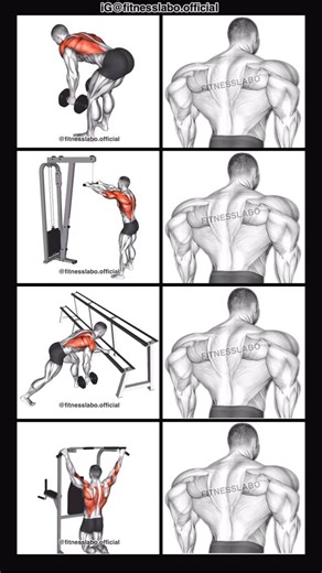 𝗙𝗜𝗧𝗡𝗘𝗦𝗦𝗟𝗔𝗕𝗢 | ✅ How to Build a Wider Back ① Dumbbell Bent Over Row ② Cable Straight Arm Pulldown ③ One Hand Row ④ Pull-up 3 sets 12-15 reps... | Instagram