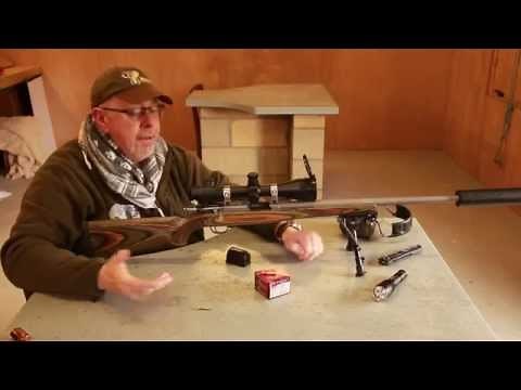 Ruger 17 Hornet Review