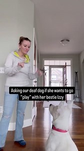 “Play” is one of Faith’s favorite words! 🤙🏼#asl #signlanguage #deaf #deafdog #dogsofinstagram #foryou #fyp #communication | Deaf Dog of MN