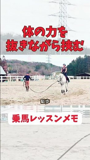 Horseback Riding: Relax Your Body When Using Your Legs #horse #equestrian #horsebackriding #canter