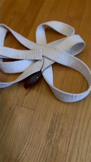 The ole “Fake Roach” PRANK🪳 in Z’s Bedroom #fatherhood #prank