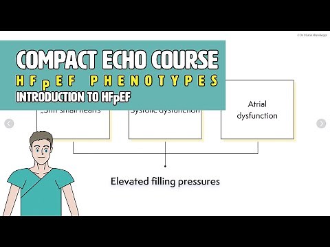 〖Echocardiography〗 Diastolic dysfunction & HFpEF - Introduction 💘