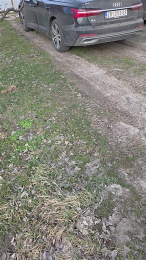 #metla @Марија Јовић