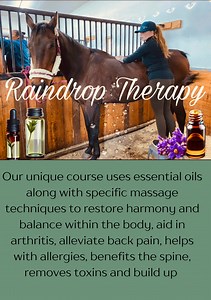 4 comments | Raindrop Therapy This course is packed with information...