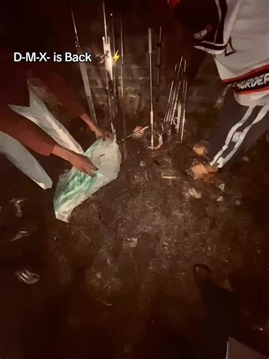 D-M-X-555: Exciting New Meme Unveiled