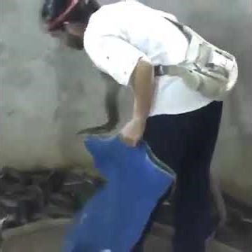 playing with snecs #comedy #comedyshorts #funny #shorts