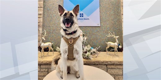 UnityPoint Health - St. Luke’s Hospital adds K-9 to security team