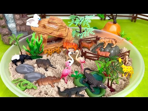 Explore the Rainforest Jungle! Amazing DIY Diorama with Wild Animal Toys