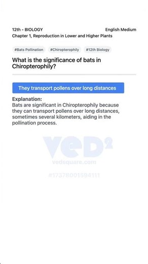 Bats Role in Chiropterophily 12th Biology Reproduction in Plants