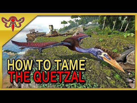 ARK: Survival Evolved Tutorial - How to Solo Tame the Quetzal