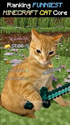 Ranking The Funniest Minecraft Cat Core Moments!! 🤣🐱