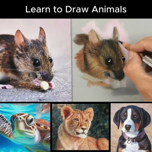 FREE Pastel lesson for you all